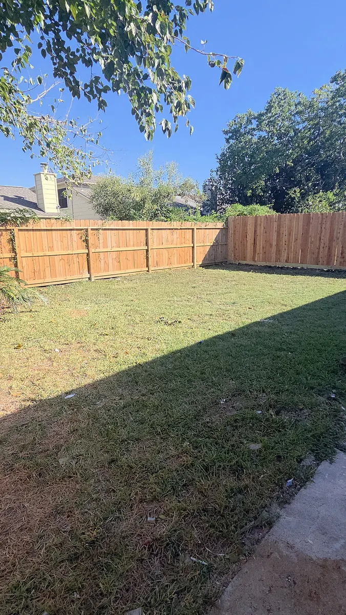 New cedar fence