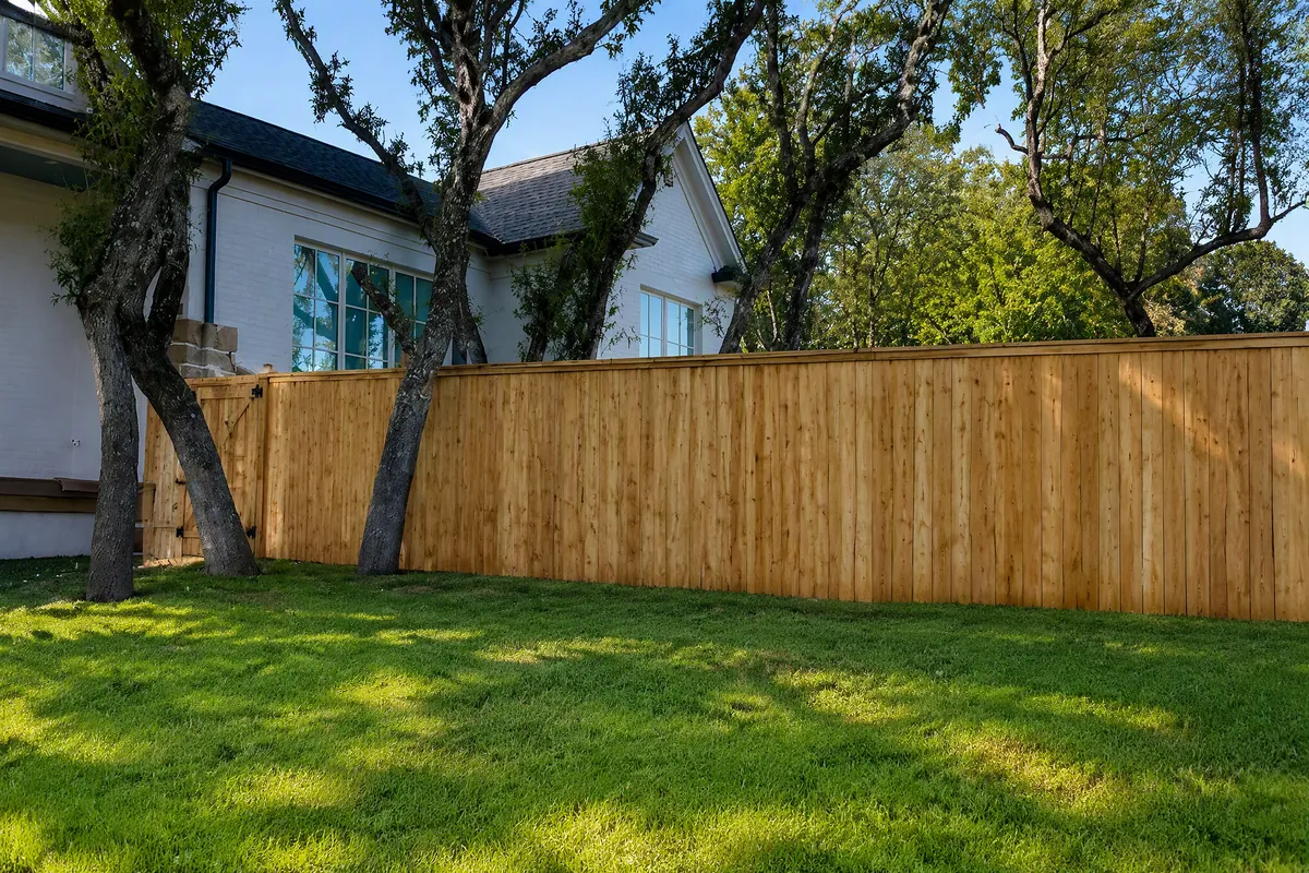 Illustration: Cedar privacy fence