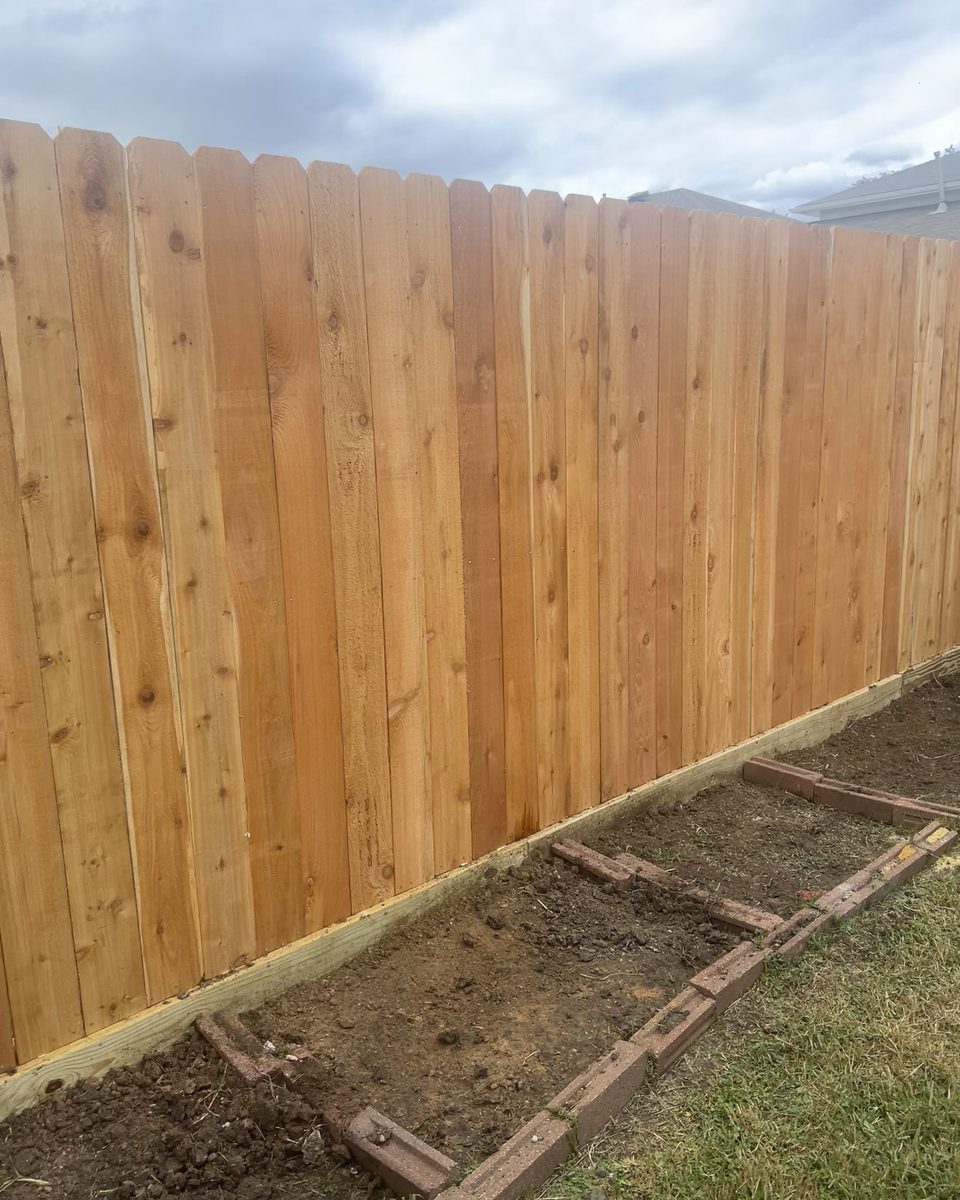New cedar fence with a treated bottom board; the yard work around it is not finished.
